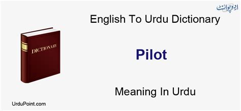 aviator meaning in urdu|Aviator Meaning In Urdu .